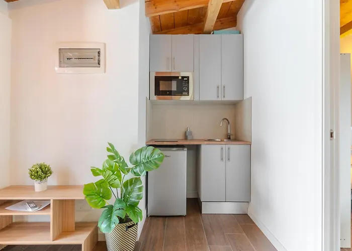 Jardines De Tamaide San Miguel de Abona